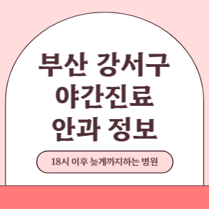 부산 강서구 야간진료 안과 병원 (18시 이후 늦게까지하는 병원)