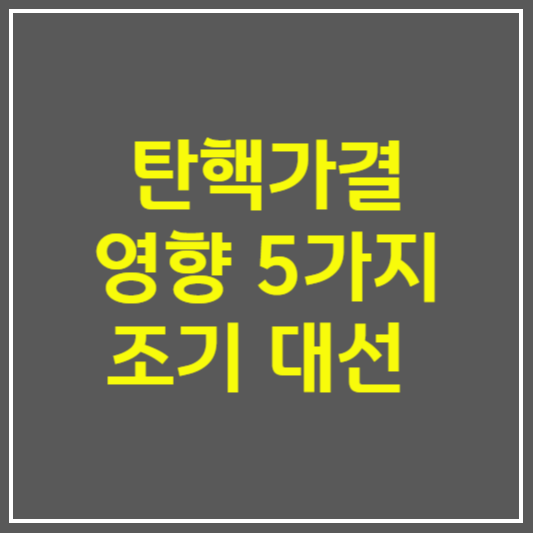 탄핵 가결 조기대선