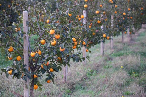 추석 숙박 할인쿠폰 받는 방법(숙박 세일 페스타)