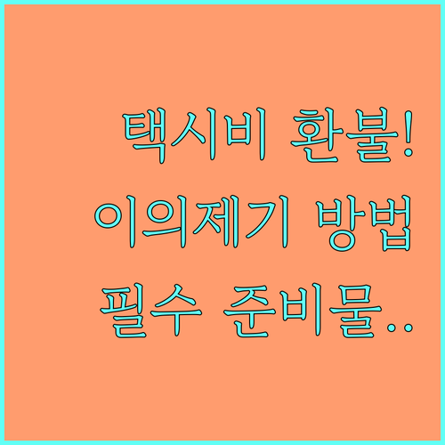 카카오T 택시 요금 이의제기 기간 및..