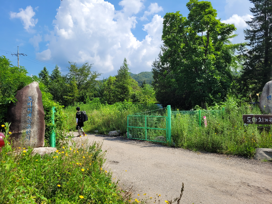 도마치계곡 가는법