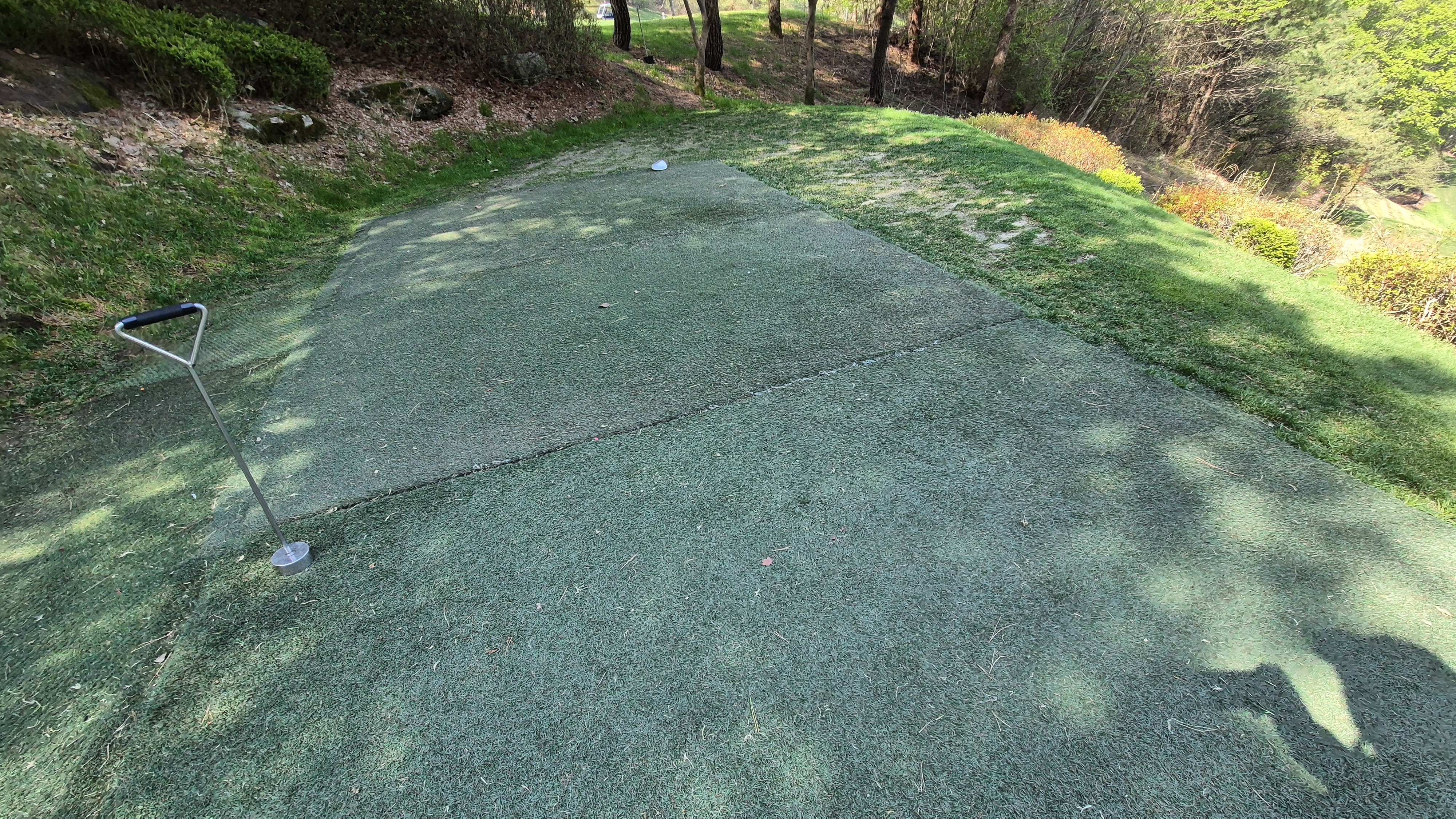 소노펠리체cc 비발디파크 웨스트