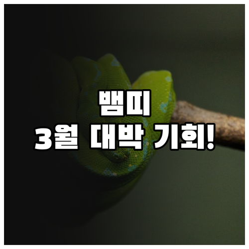 2026년 3월 1965년생 뱀띠 운..