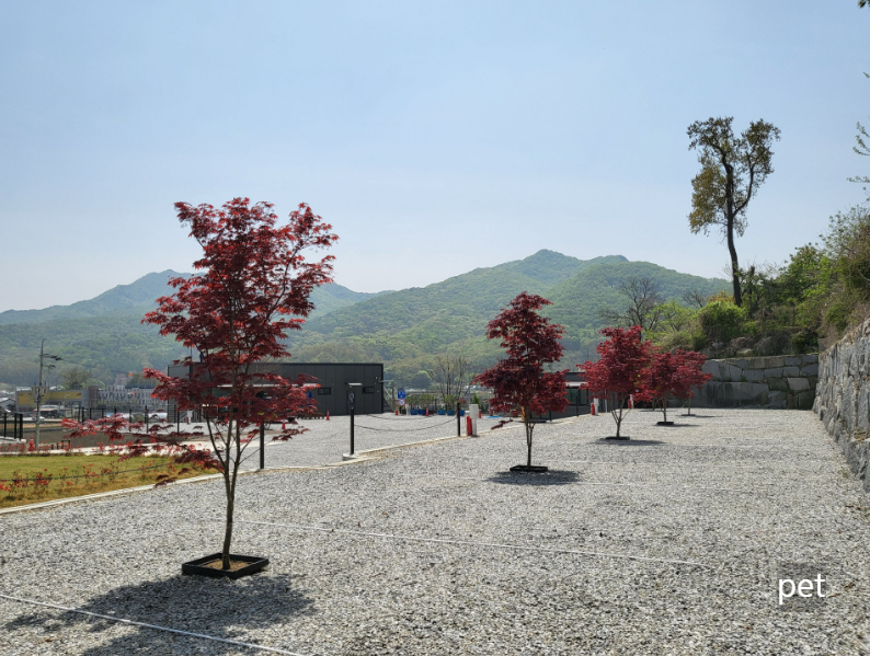 경기-인천-어썸캠핑장-예약-방법-애견-동반-가격-주소-시간-후기