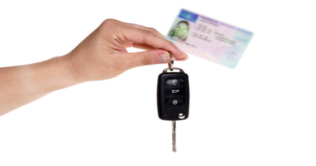 자동자보험 비교