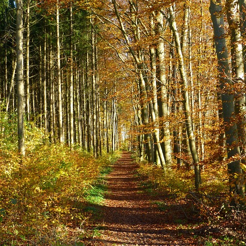 제주도 동쪽 여행지