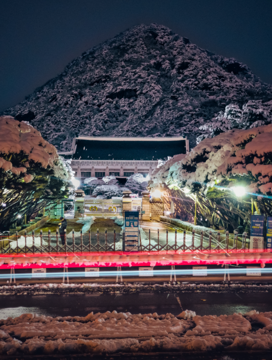 청와대 관람 신청