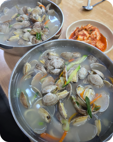생방송 투데이에 소개된 인천 대부도 바지락칼국수