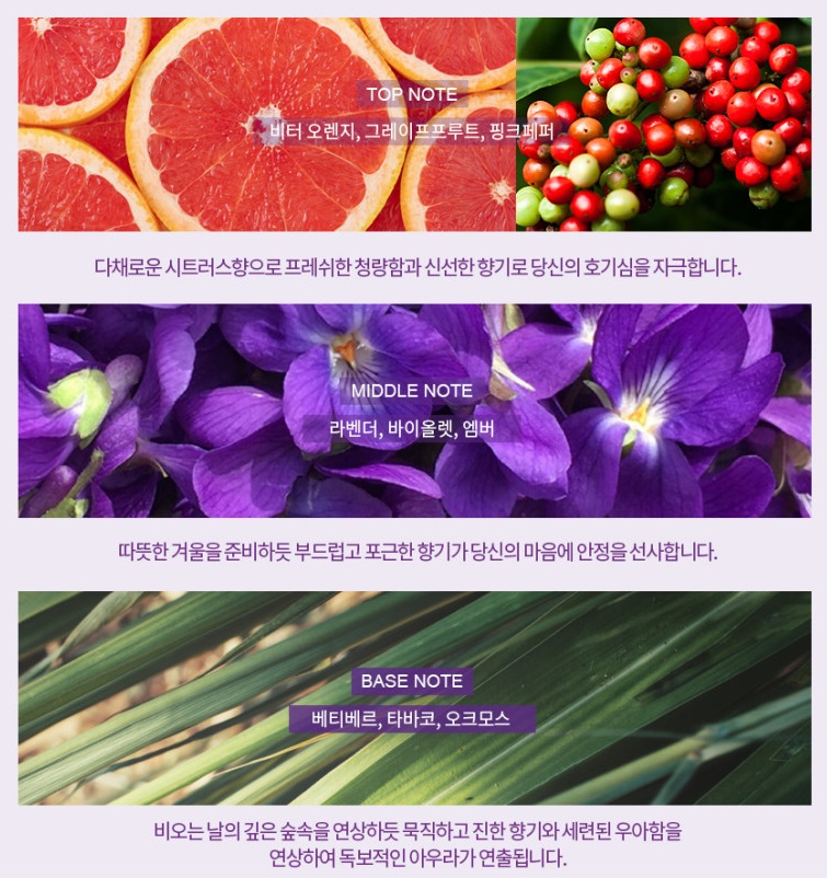 베티버노트