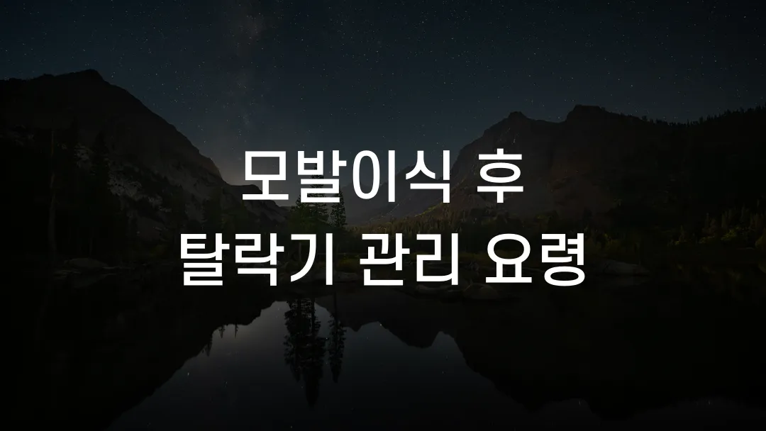 모발이식 후 탈락기 관리 요령