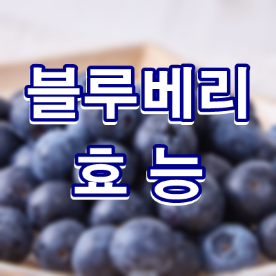 블루베리