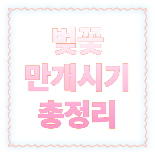 벚꽃 만개시기 2026 총정리: 지역별 절정 날짜표 + 여행 일정 실패 줄이는 법