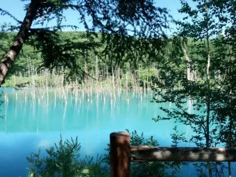 홋카이도 여름 여행코스 4박5일 일정과 맛집 정보 정리_8