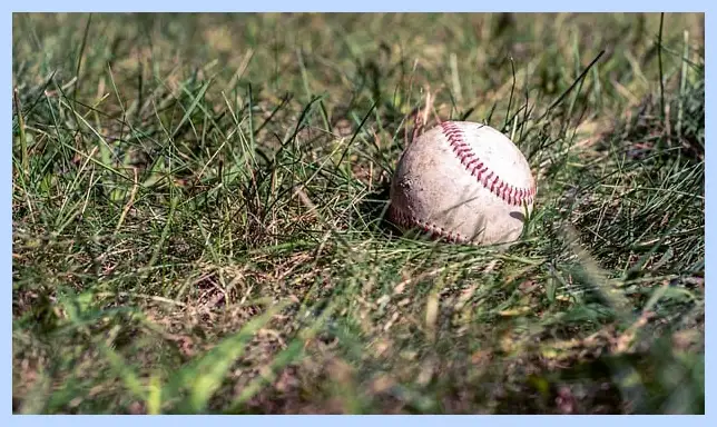 프리미어12 중계방송 바로보기