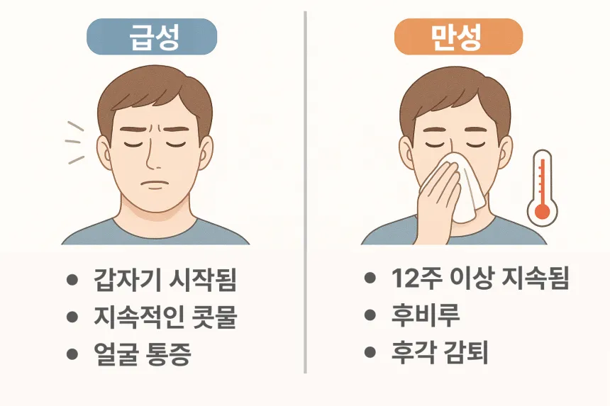 급성 부비동염