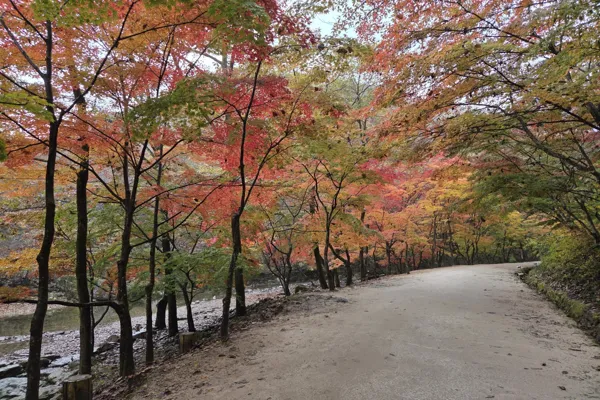 강천산5
