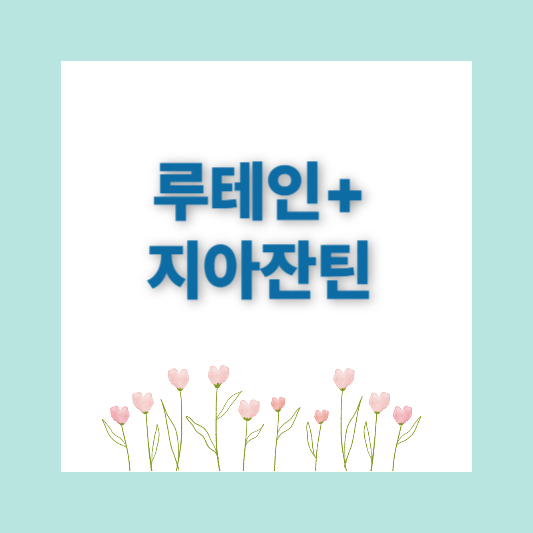 다이소영양제 추천 건강기능식품 추천템 인기4종