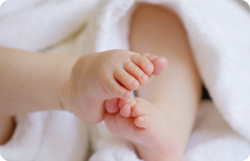 부모급여 지급시기