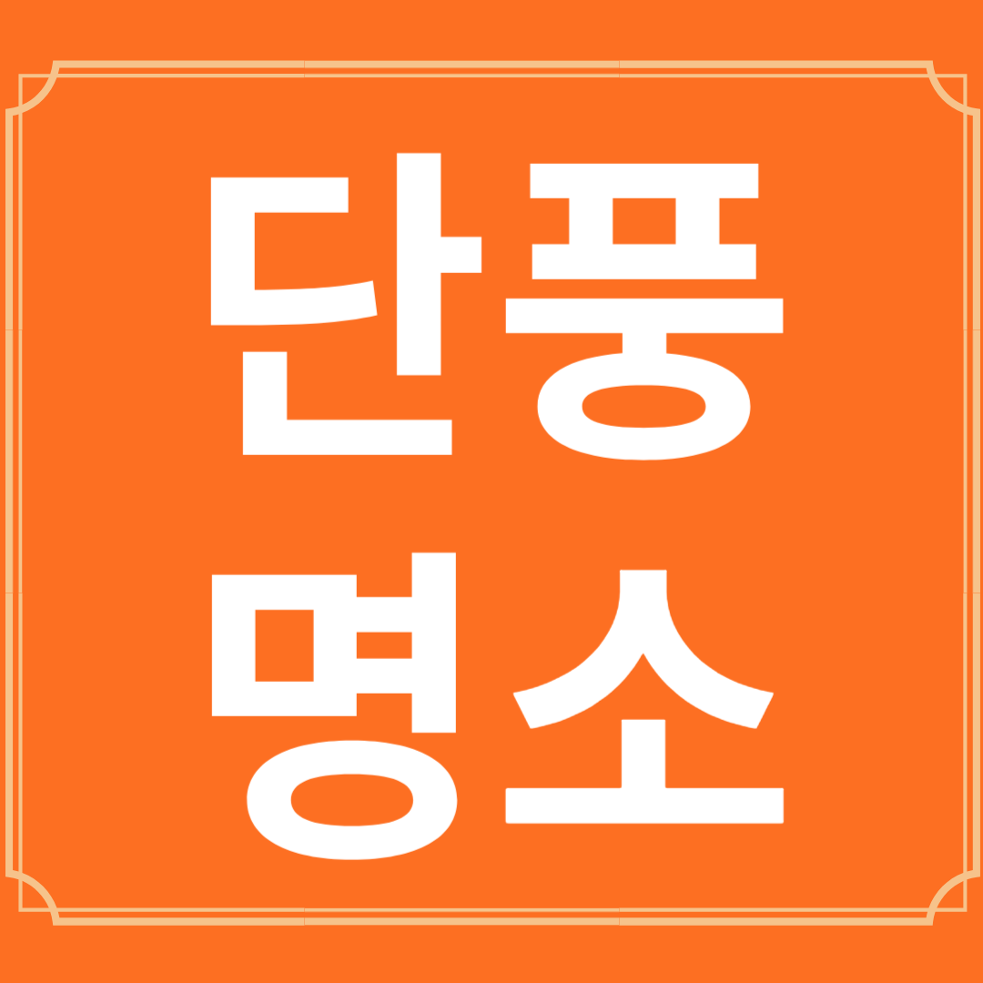 2024단풍명소
