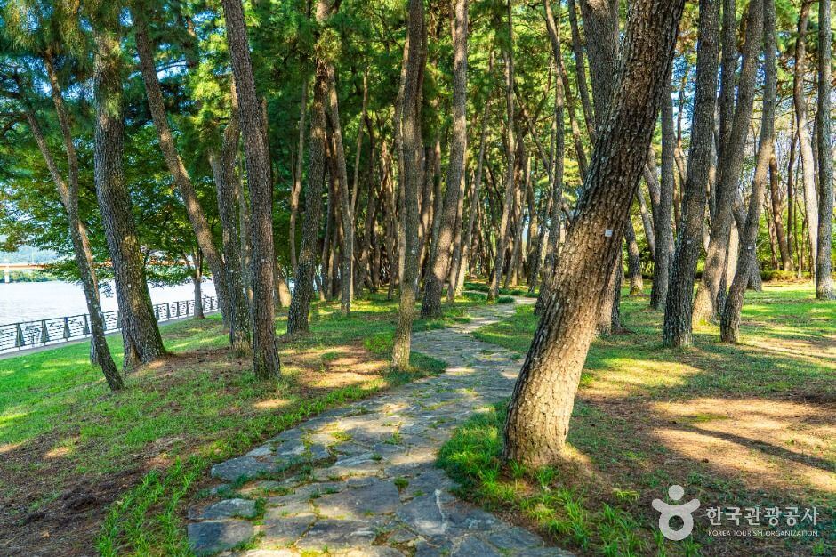 하동 가볼만한곳 베스트 10