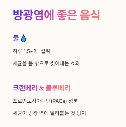 방광염에 좋은 음식 : 물, 크랜베리, 블루베리