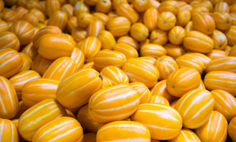 참외-효능-부작용-하루-섭취량-관련-사진