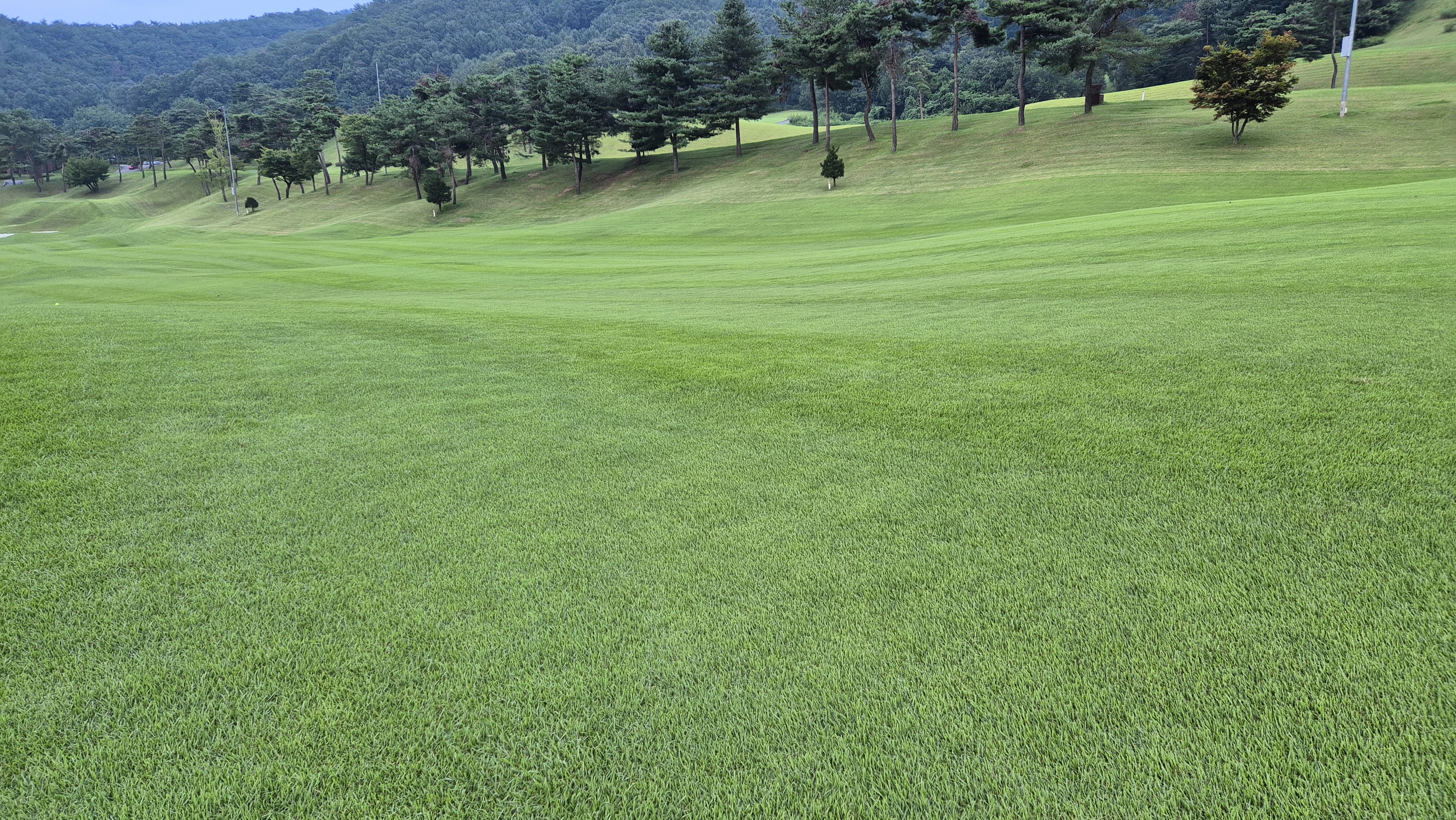 동원썬밸리cc 라운드 후기