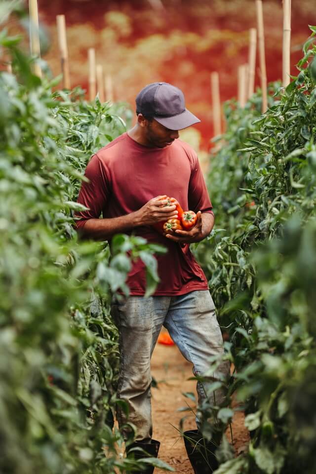 청년창업농 장학금 신청자격