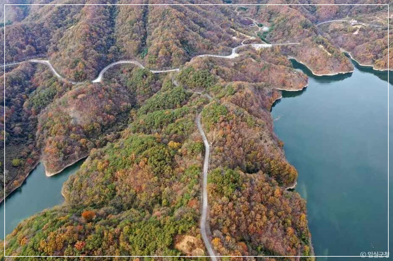 임실 가볼만한곳 베스트10 옥정호 물안개길