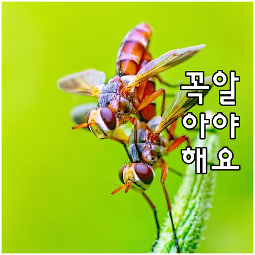 신차 부족, 금리 인상 중고차 시장 