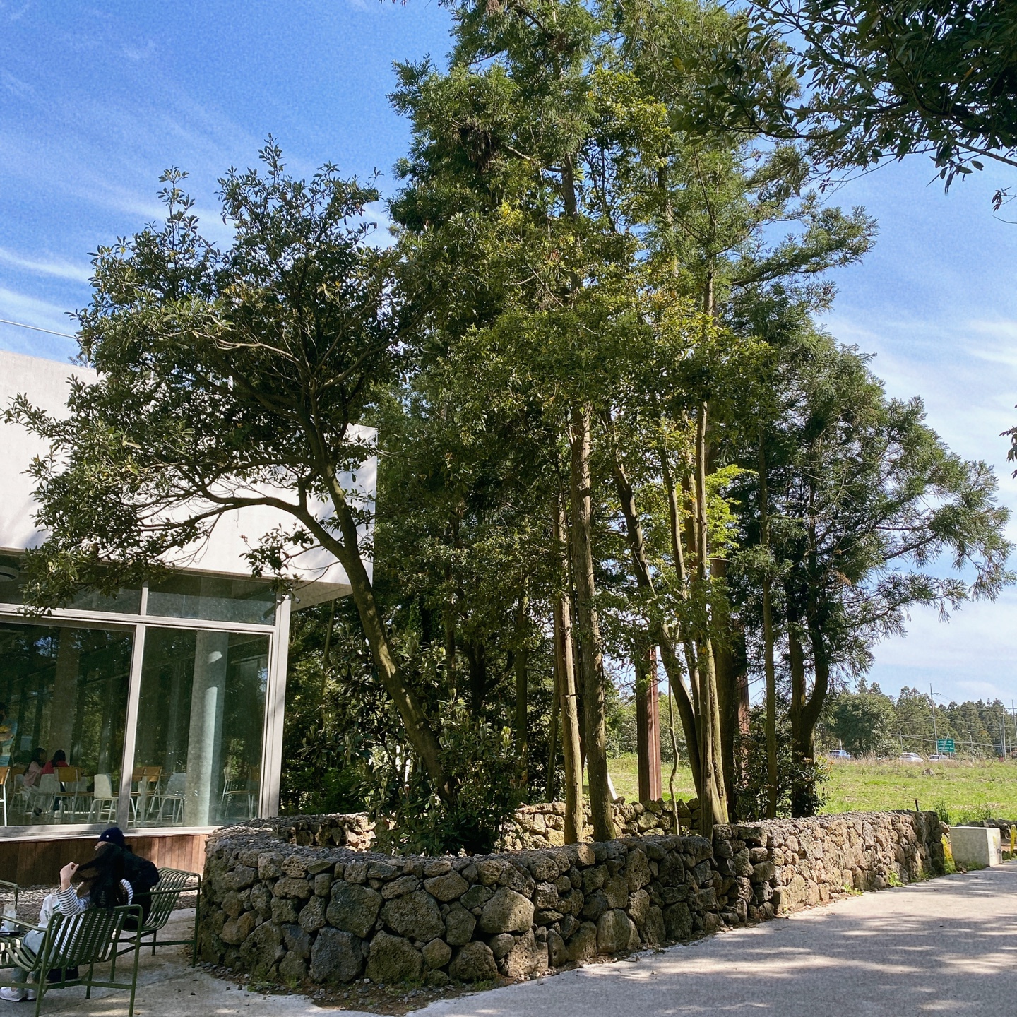 제주 구좌 송당무끈모루 안돌오름 밧돌오름 웨딩포토존 웨딩촬영 대형베이커리 카페 안도르 andor 인생샷