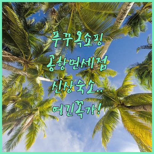 푸꾸옥 공항 면세 구역 쇼핑 팁과 시..