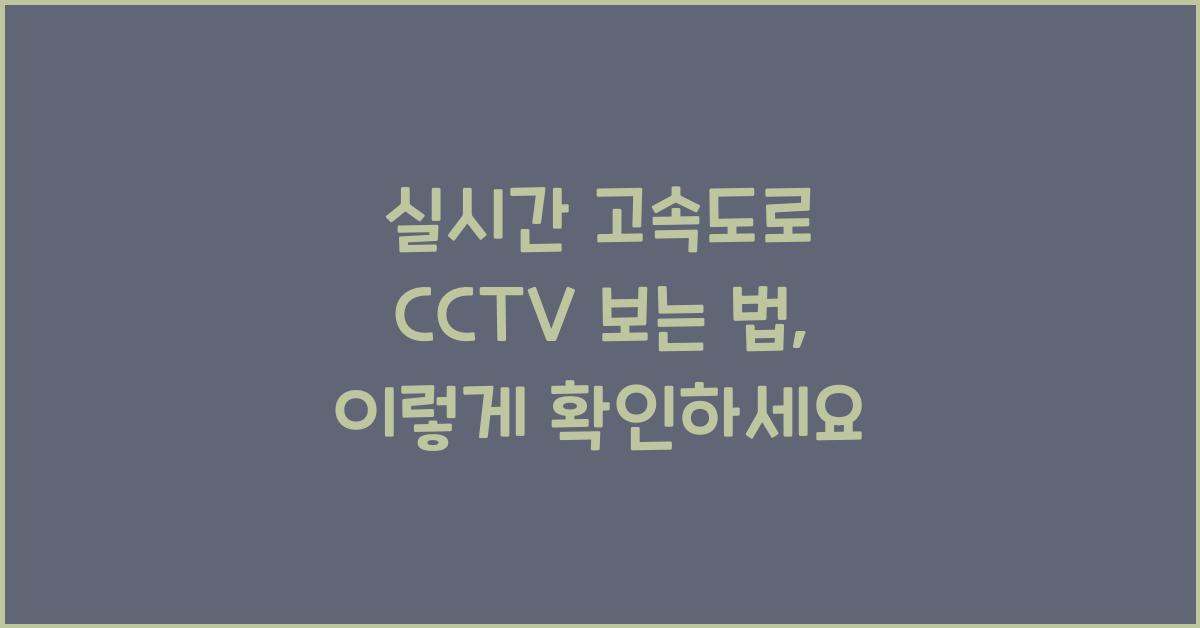 실시간 고속도로 cctv 보는 법