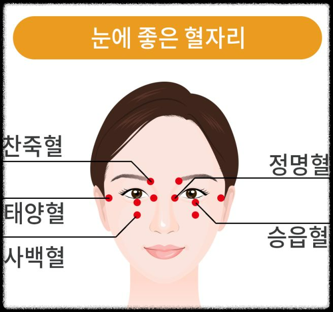 눈건강을 지켜라: 현대인의 필수 건강관리