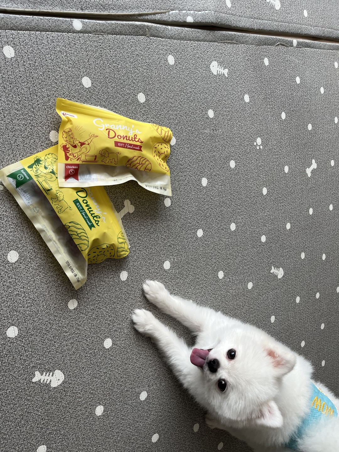 꾸마_간식_포메