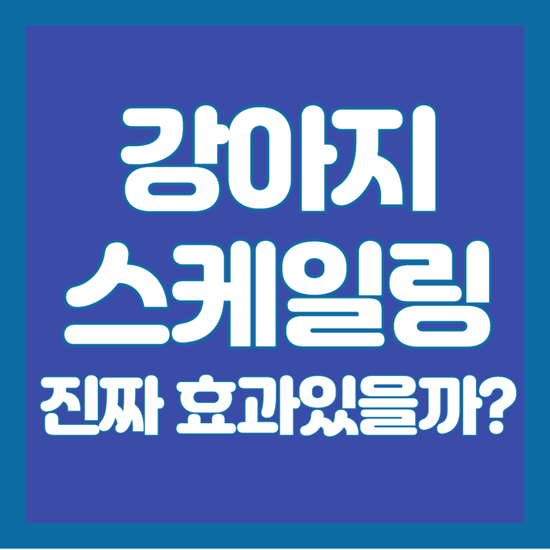 강아지-스케일링
