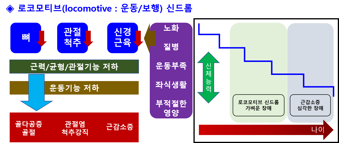 근육