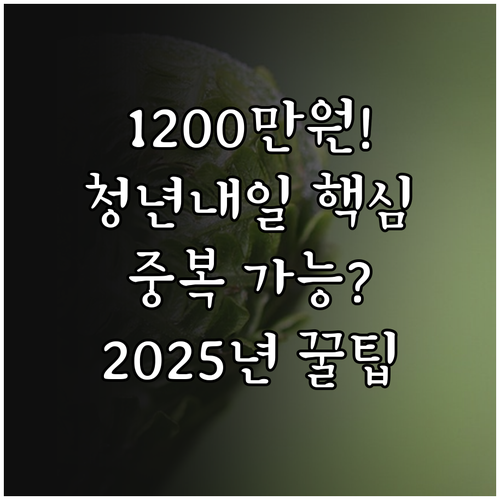 청년내일채움공제 2025 FAQ 12..