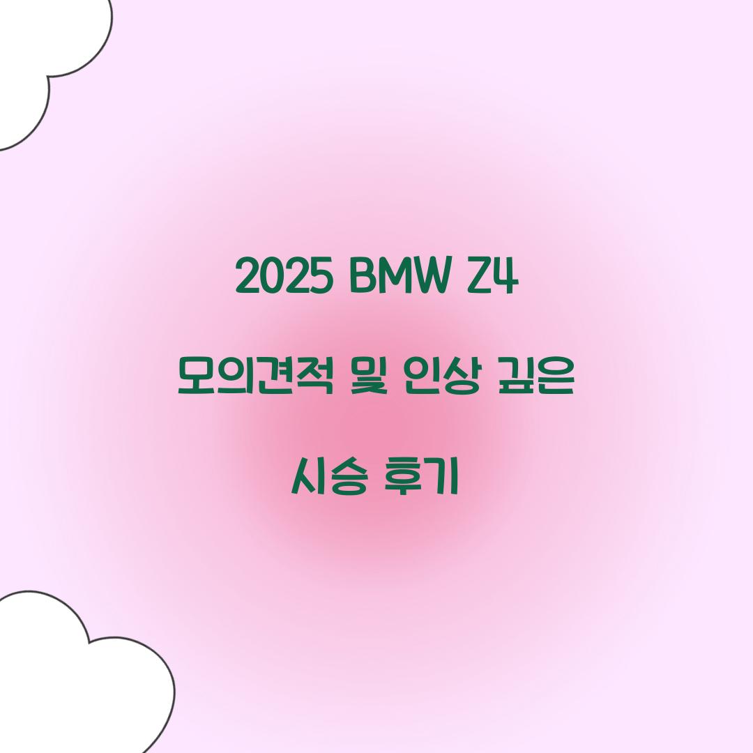 2025 BMW Z4 모의견적