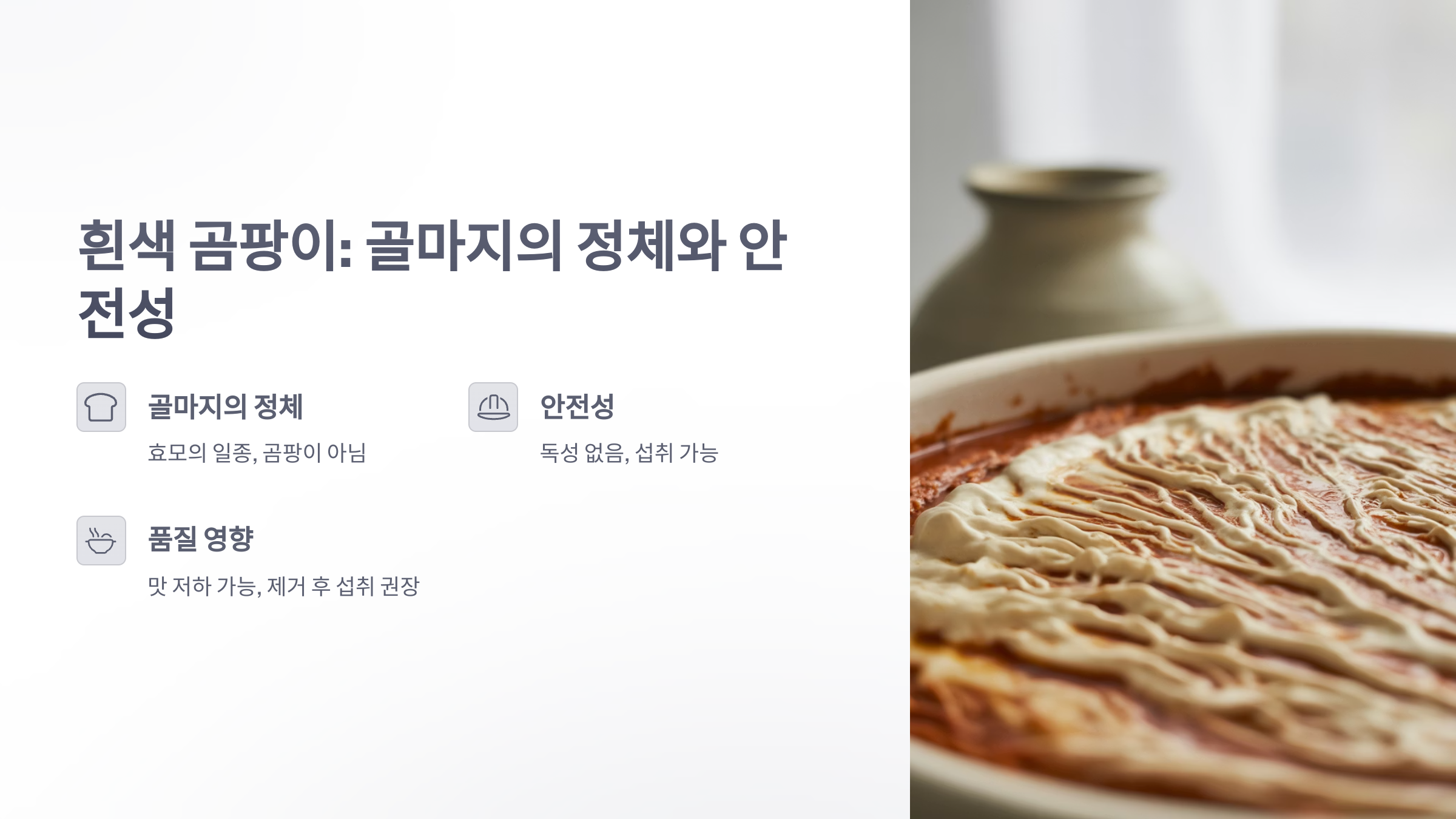 참조-곰팡이-김치찌개-주의-2