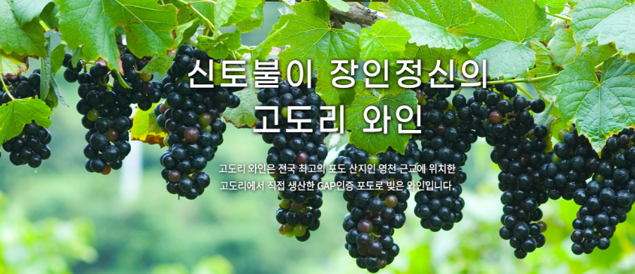 고도리와이너리 와인