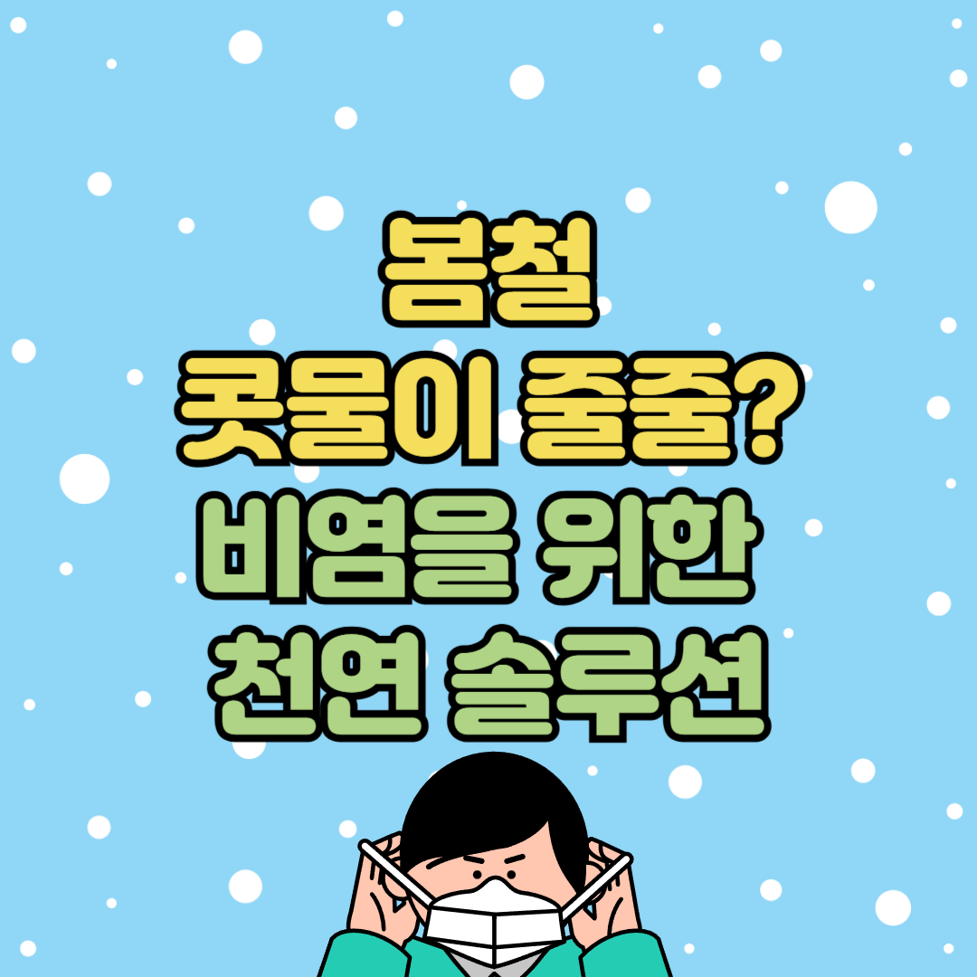 퀘르세틴 브로멜라인 완변 가이드 블로그 글 대표 이미지