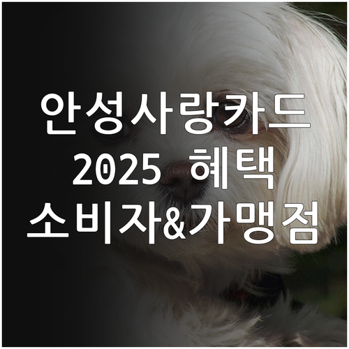 2025 안성사랑카드 혜택: 소비자와..