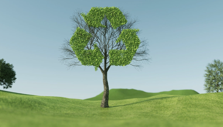 "제로웨이스트가 돈이 된다?" 지속가능한 소비를 추구하는 글로벌 브랜드 전략