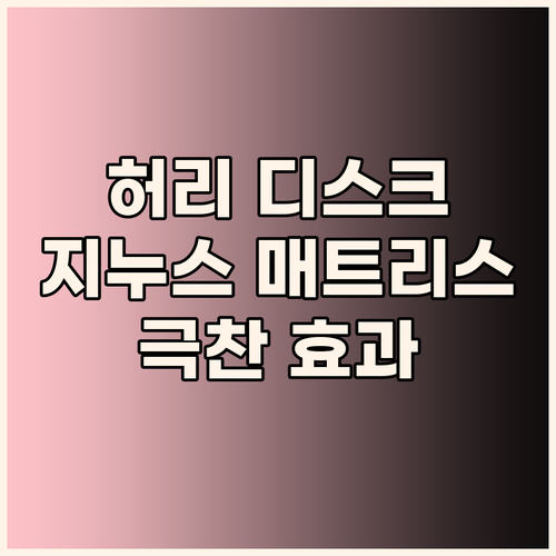 허리 디스크 환자가 극찬한 지누스 매..