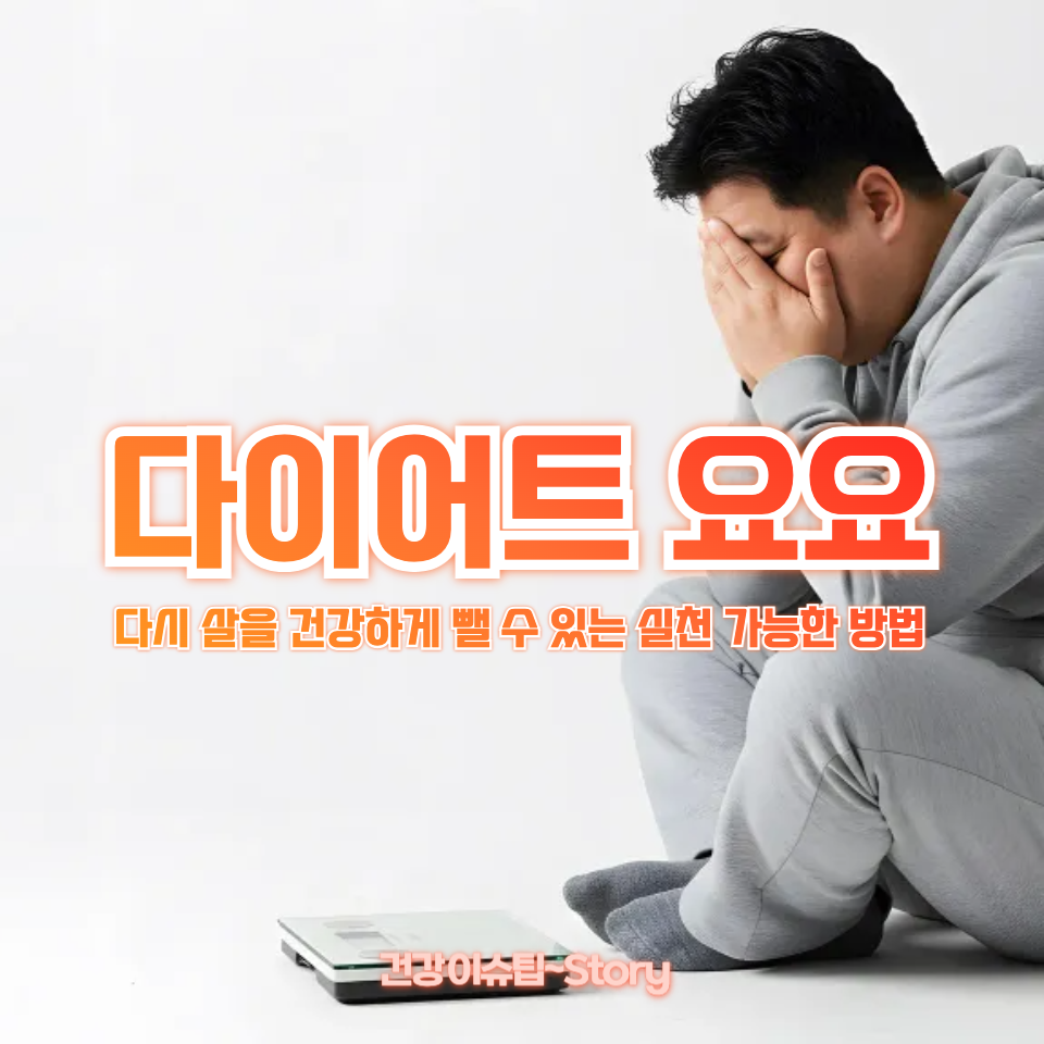 다이어트 요요