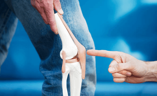 철갑상어 콘드로이친 가격&amp;#44; 후기&amp;#44; 효능&amp;#44; 추천