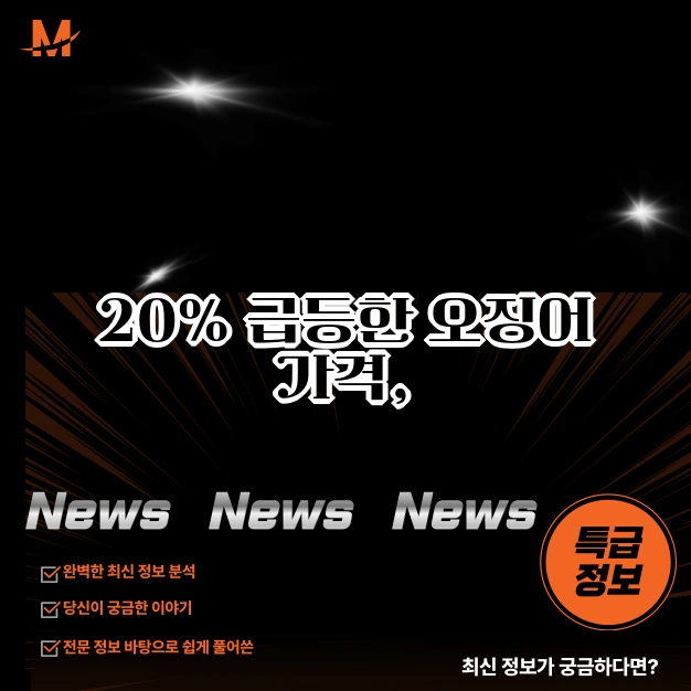 급등 오징어 가격 언제