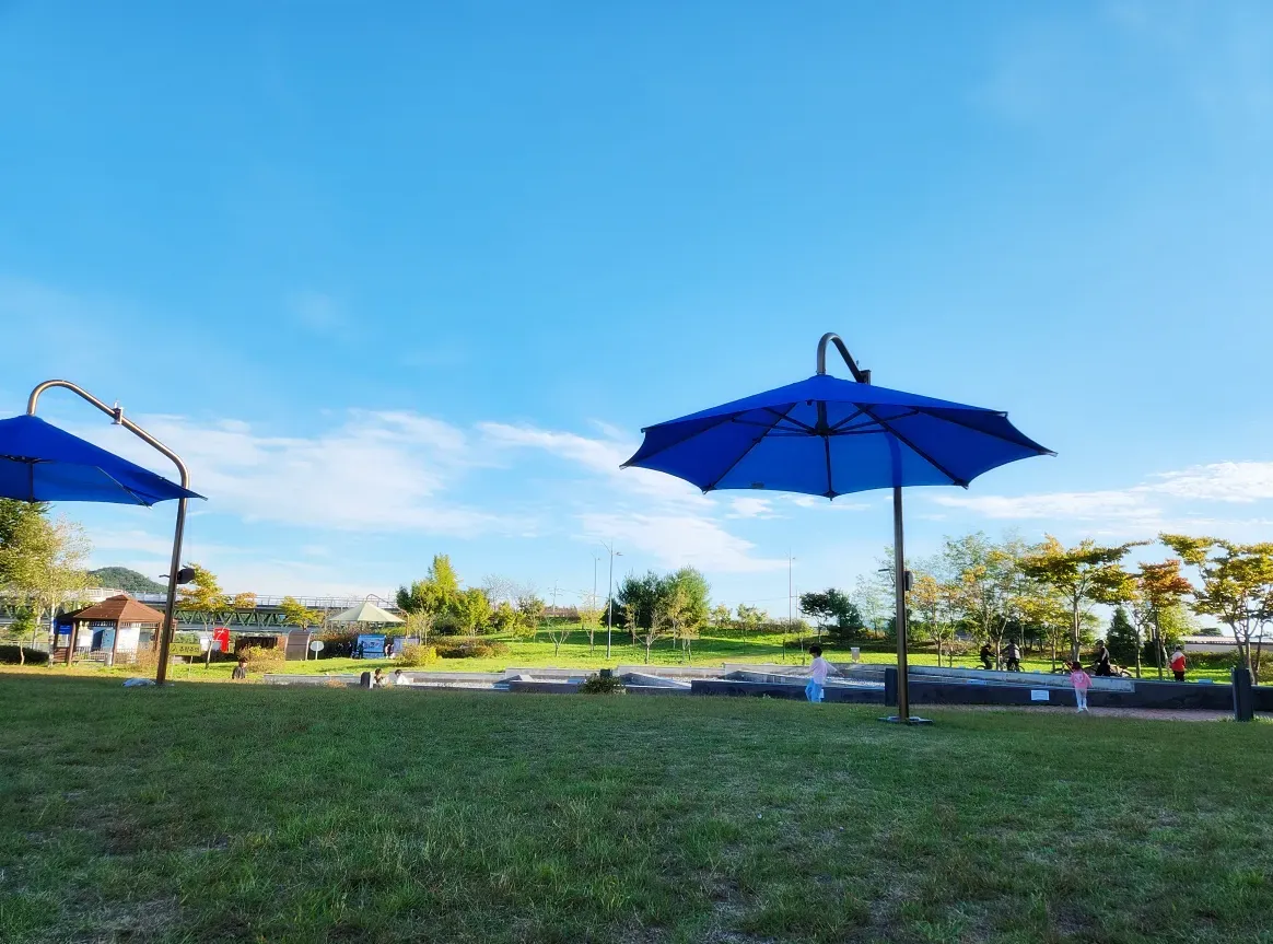 강천보-파라솔-잔디