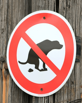 냄새나는 (냄새가 고약한) 똥 (대변) 꿈해몽 상징 이미지